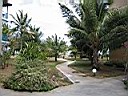 IMG_0007.jpg