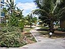 IMG_0008.jpg