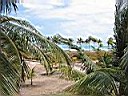 IMG_0010.jpg