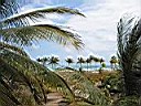 IMG_0011.jpg