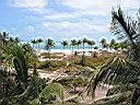 IMG_0013.jpg