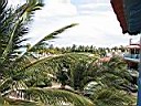 IMG_0014.jpg