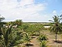 IMG_0015.jpg