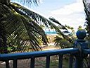 IMG_0026.jpg