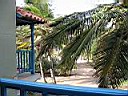 IMG_0027.jpg