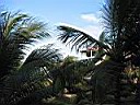 IMG_0028.jpg