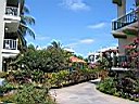 IMG_0030.jpg
