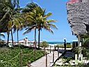 IMG_0036.jpg