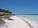 IMG_0037.jpg