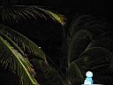 IMG_0058.jpg