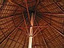 IMG_0060.jpg