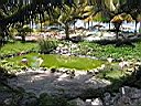 IMG_0062.jpg