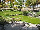 IMG_0064.jpg