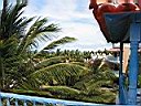 IMG_0086.jpg