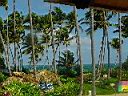 OceanView.JPG