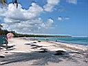 IMG_0040.jpg