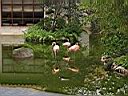 IMG_0063.jpg