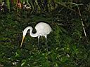 IMG_0138.jpg