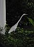 IMG_0140.jpg