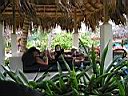 IMG_0144.jpg