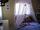 IMG_0388.jpg