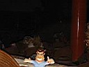 IMG_0358.jpg