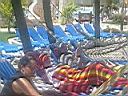 IMG_0379.jpg
