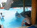 IMG_0382.jpg