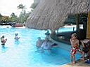 IMG_0384.jpg