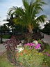 IMG_1537.JPG