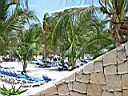 IMG_1556.JPG