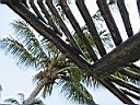 IMG_1561.JPG