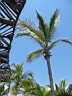 IMG_1564.JPG