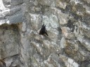 IMG_1590.JPG