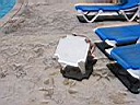 IMG_0032.jpg