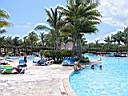 IMG_0035.jpg