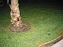 IMG_0072.jpg