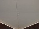 IMG_0097.jpg