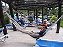 IMG_0118.jpg