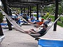 IMG_0119.jpg