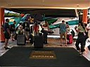 IMG_0247.jpg