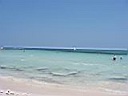 IMG_0263.jpg
