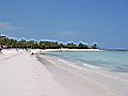IMG_0264.jpg