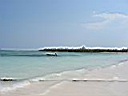 IMG_0266.jpg