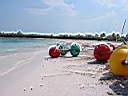 IMG_0267.jpg