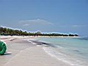 IMG_0268.jpg