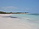 IMG_0269.jpg