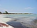 IMG_0270.jpg