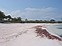 IMG_0272.jpg