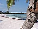 IMG_0273.jpg